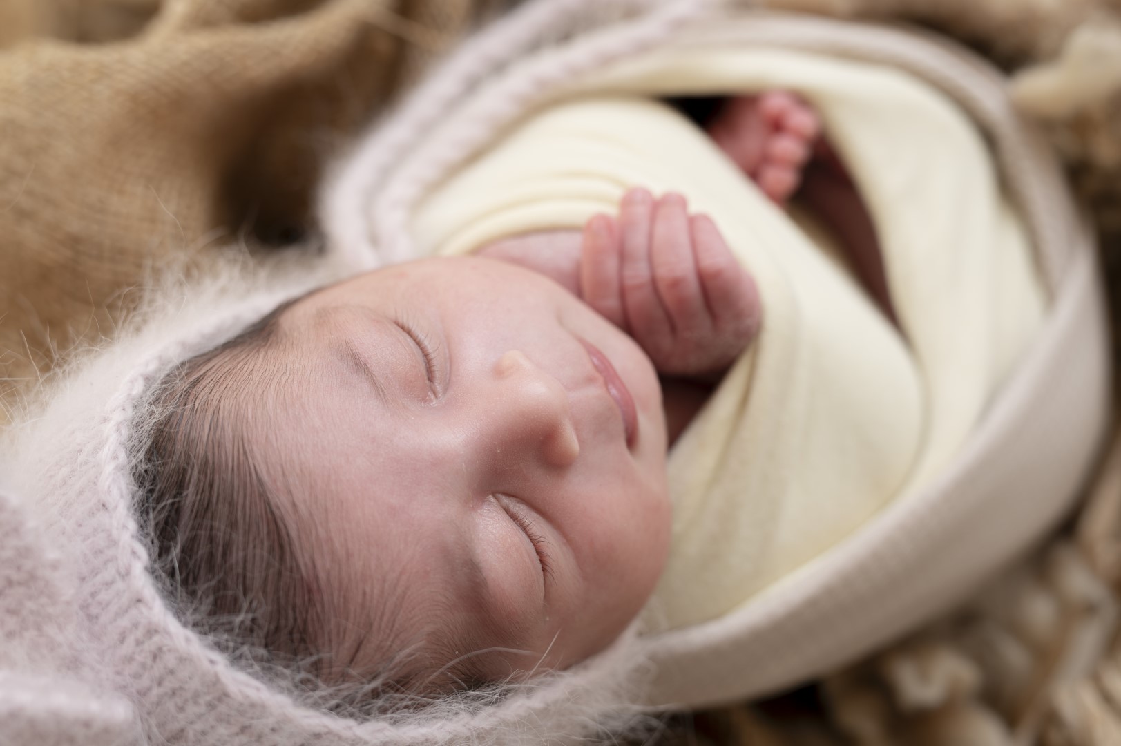 צילומי ניובורן 13